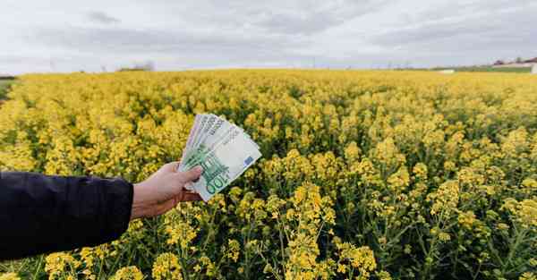 惠姓在百家姓中排第几？惠姓民族分布